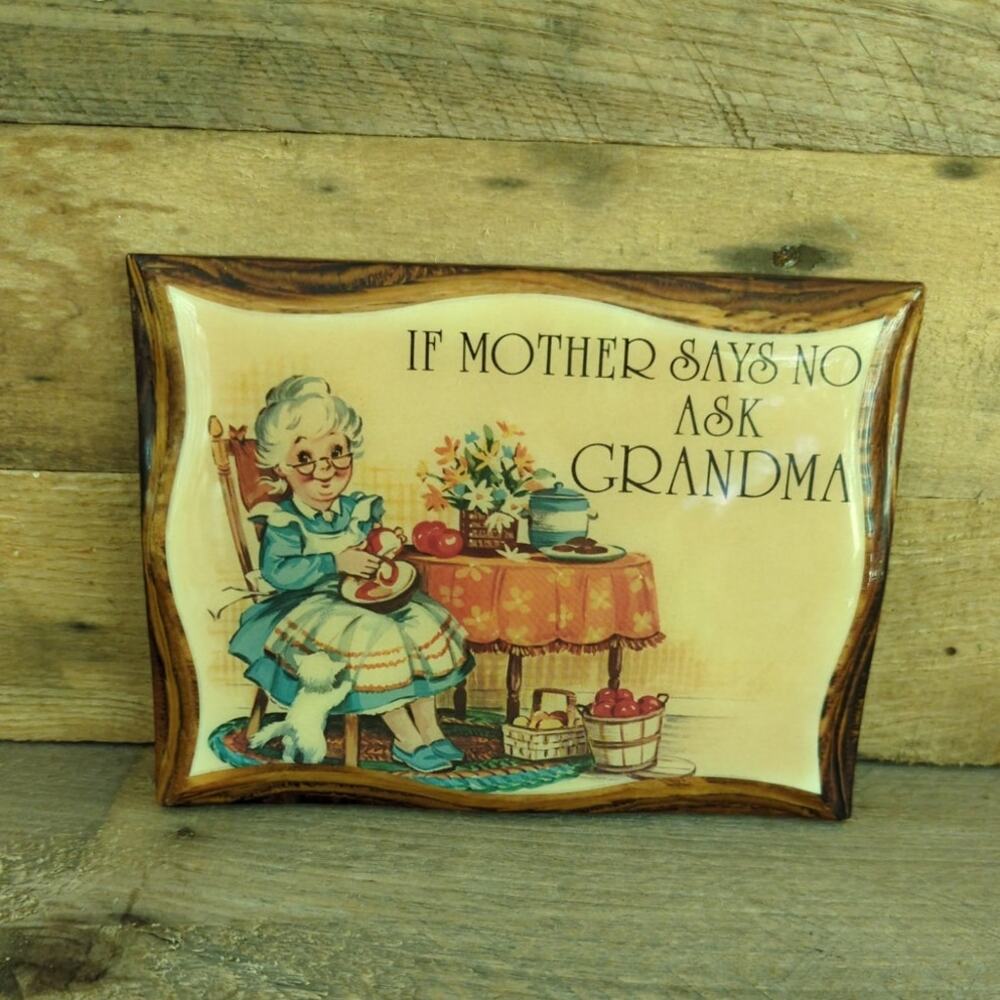 Vintage 70s If Mother Says No Ask Grandma Decoupage Wooden Wall Hanging